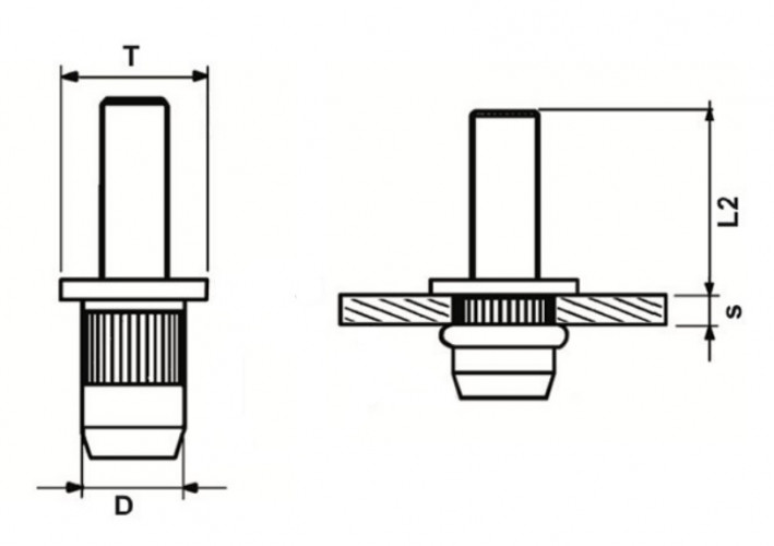 Винтовая заклепка М5х20 Нержавеющая сталь А2 Стандартный борт