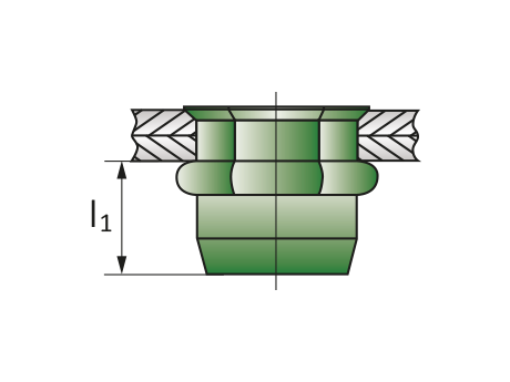 Заклепка М12 полушестигранная уменьшенный бортик закрытая